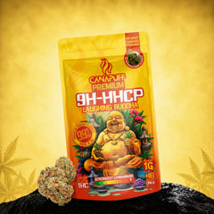 Květy 9H-HHCP Laughing Buddha 99% velkoobchod