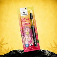 HHC-A Pen+patron Lemon Cherry Gelato 95% nagykereskedelem