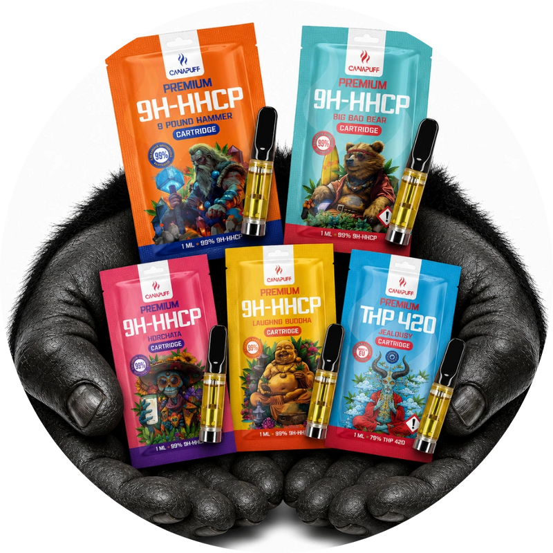 Free sample box
