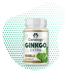 Gingko Extra Canalogy engros