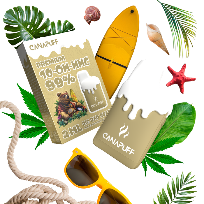 Venta al por mayor Big Bad Bear 99% 10-OH-HHC - Canapuff - Un solo uso - 2ml