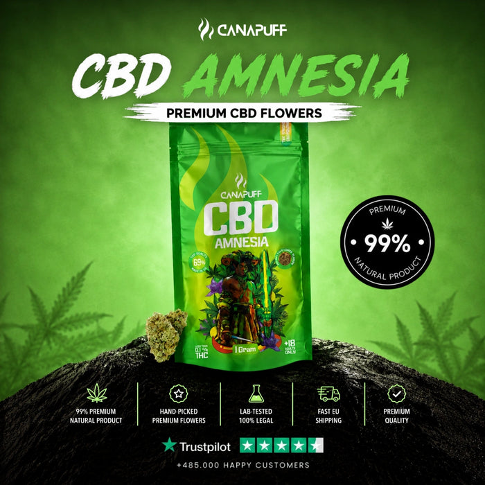 Wholesale CBD Flowers Amnesia 69%