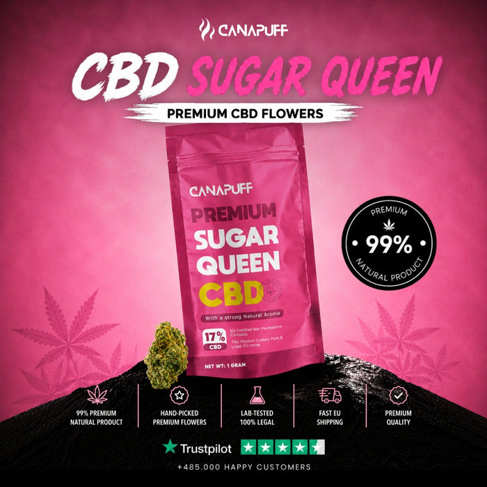 Wholesale CBD Flowers Sugar Queen 17%