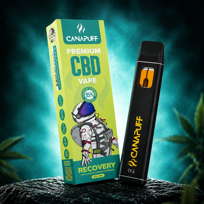 Wholesale Recovery 95% CBD - Canapuff - Vaporizér - 1ml