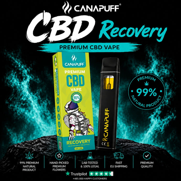 Wholesale Recovery 95% CBD - Canapuff - Vaporizér - 1ml