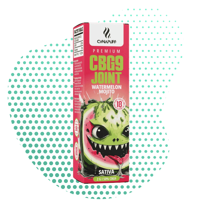 Mayorista CBG9 Porro 50% Watermelon Mojito 2g | Canapuff