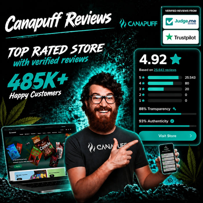 Wholesale Recovery 95% CBD - Canapuff - Vaporizér - 1ml