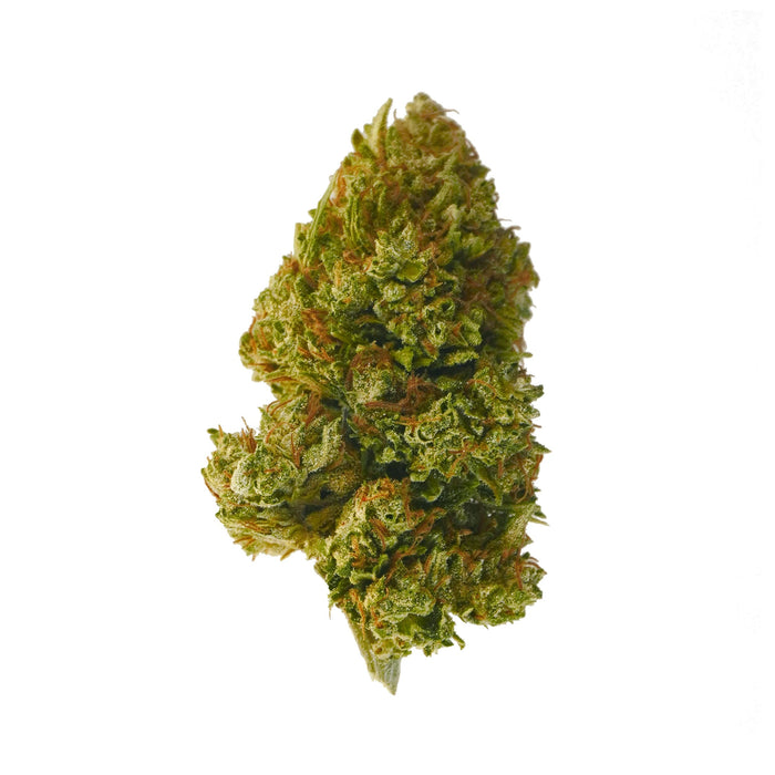 Por atacado Flores CBG9 BULK