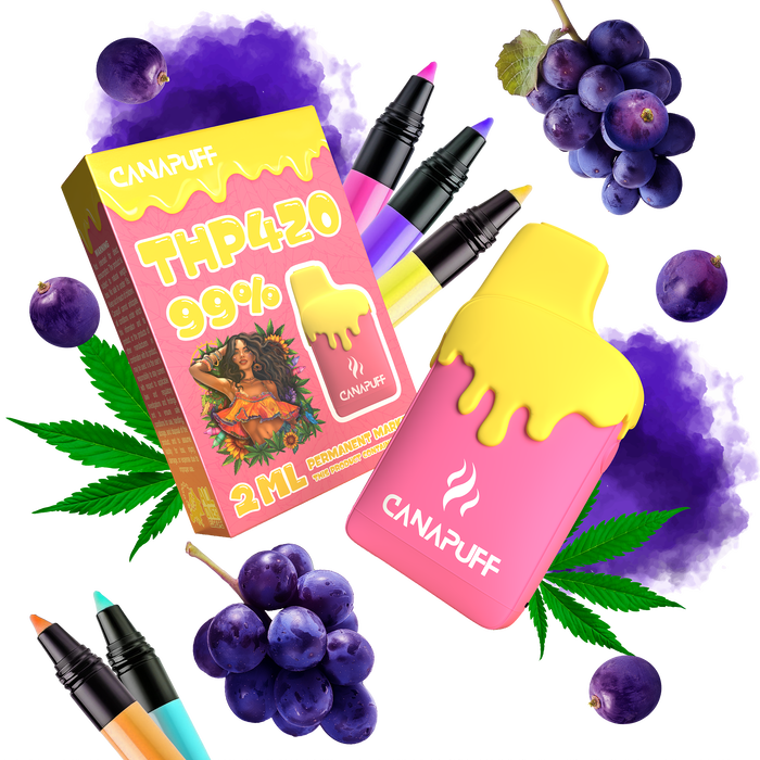 Vente en gros Marqueur Permanent 99% THP420 - Canapuff - Une utilisation - 2ml