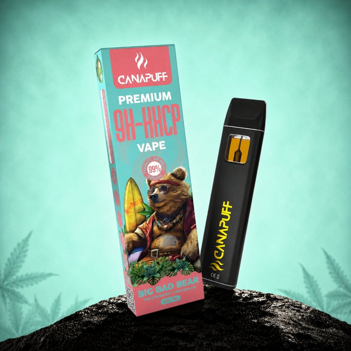 Wholesale 9H-HHCP Vape Big Bad Bear 99% 1ml