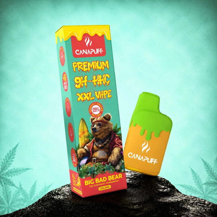 Wholesale 9H-HHC XXL Vape Big Bad Bear 99% 2ml
