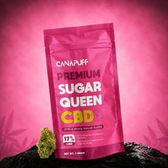 Flores CBD Sugar Queen 17% al por mayor