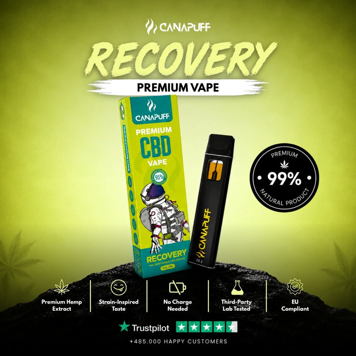 Wholesale Recovery 95% CBD - Canapuff - Vape - 1ml