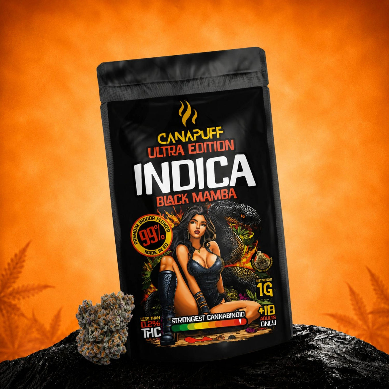 Indica