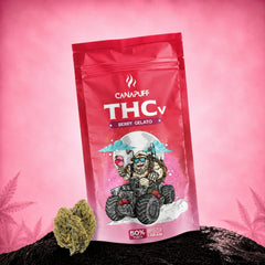 Kwiaty THCv Berry Gelato 50% Hurt