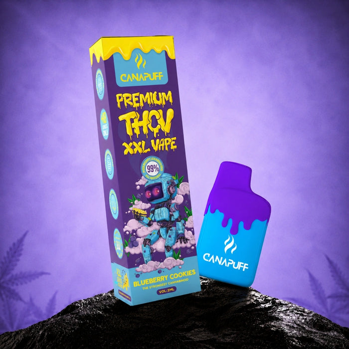 Wholesale THCv XXL Vape Blueberry Cookies 99% 2ml