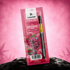 Pen+kartridž THP420 Black Cherry Fizz 79% velkoobchod