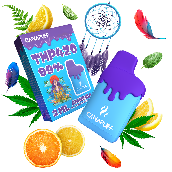 Großhandel Amnesia 99% THP420 - Canapuff - Einmalgebrauch - 2ml