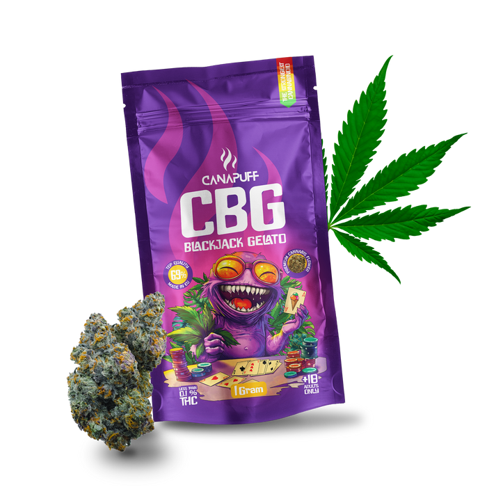 En-gros Blackjack Gelato 69% CBG - Canapuff - flori