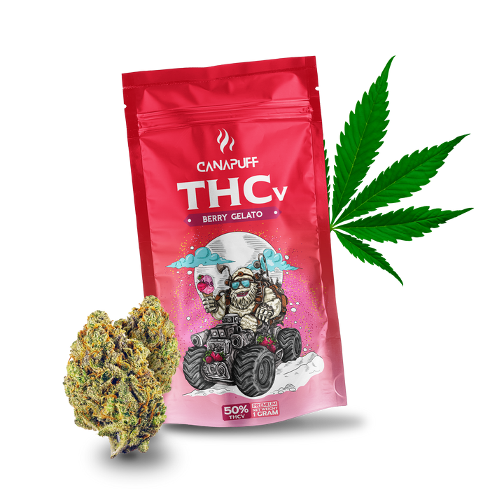 Wholesale Berry Gelato 50% THCv - Canapuff - Flowers
