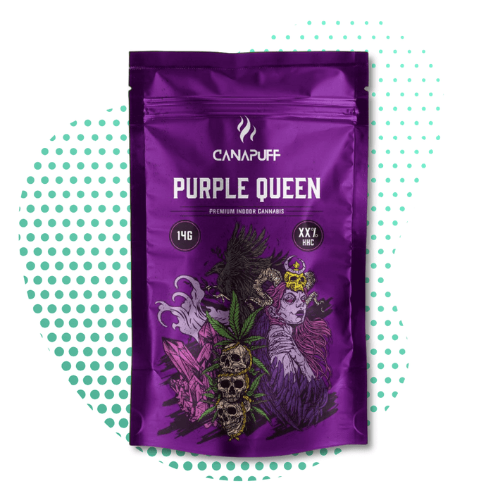 CanaPuff – Purple Queen 40 % – HHC-Blumen