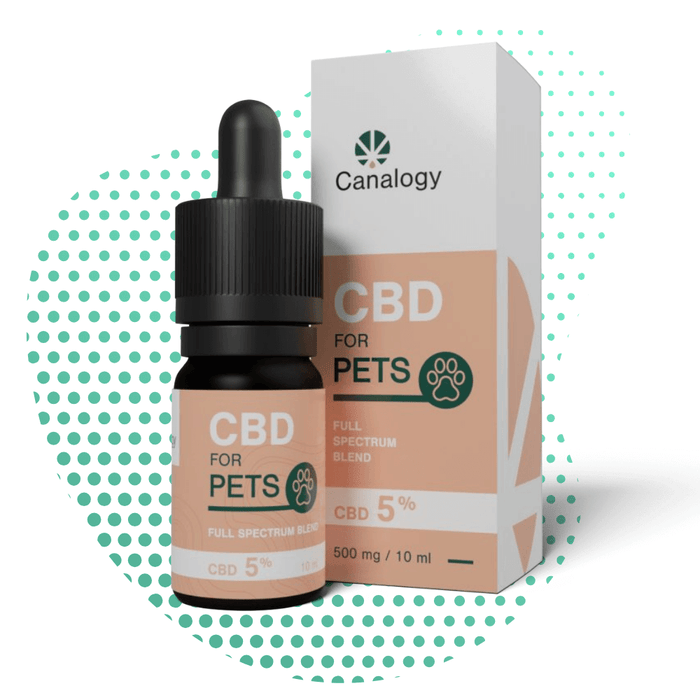 Wholesale CBD oil 5% for animals Canalogy