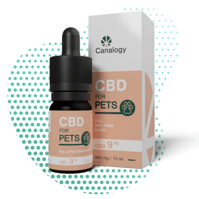 Wholesale CBD oil 9% for animals Canalogy