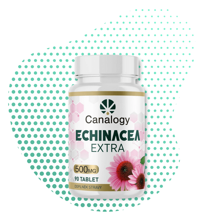 Wholesale Echinacea Extra Canalogy